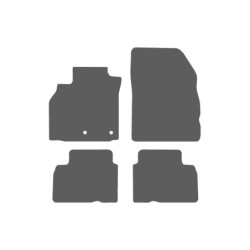 AT CARERA Renault Scenic III 2009-2015