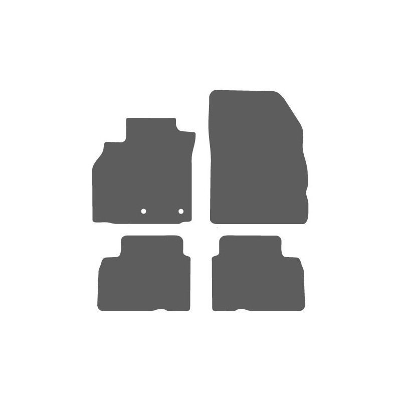 AT CARERA Renault Scenic III 2009-2015