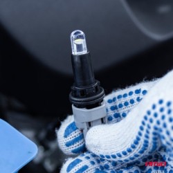 LED žarulje CLEAR White T10 W5W 12V