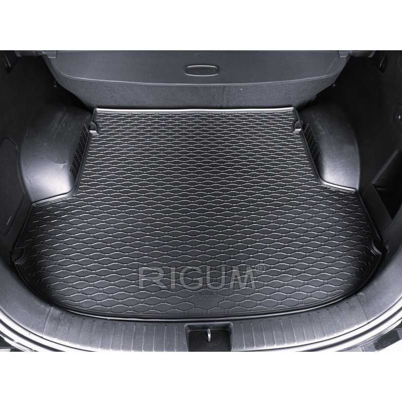 AG PRTLJAŽNIK HYUNDAI SANTA FE 5m 19- AG PRTLJAŽNIK HYUNDAI SANTA FE 5m 19-